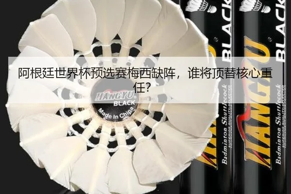 阿根廷世界杯预选赛梅西缺阵，谁将顶替核心重任？
